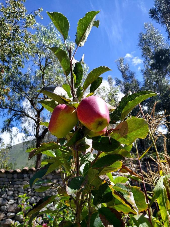 Casa De Mama Valle - Urubamba Kültér fotó
