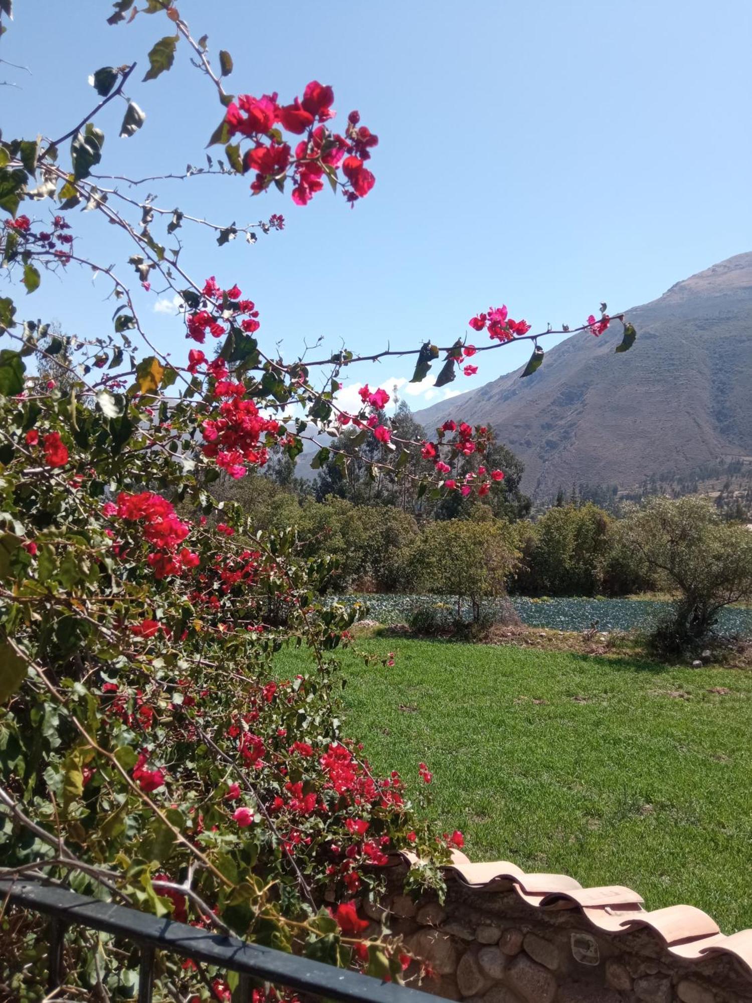 Casa De Mama Valle - Urubamba Kültér fotó