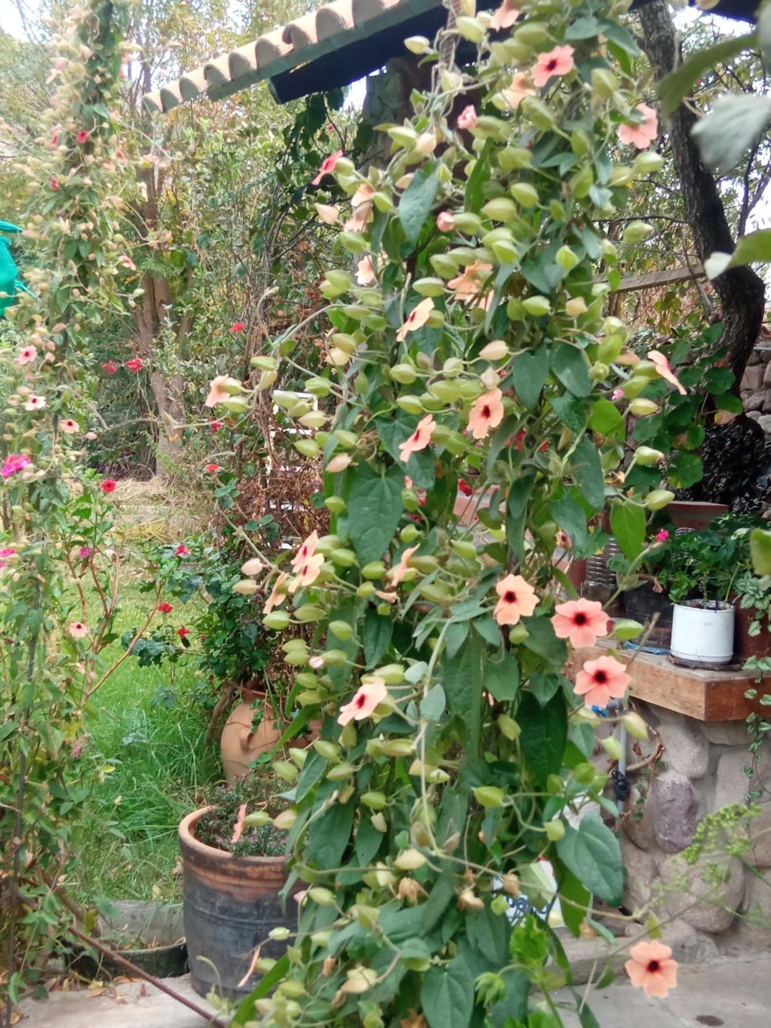 Casa De Mama Valle - Urubamba Kültér fotó